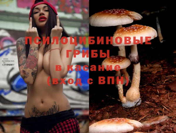 мяу мяу мука Железноводск