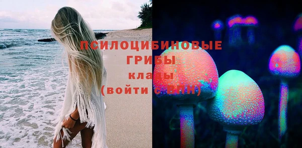 мяу мяу мука Железноводск