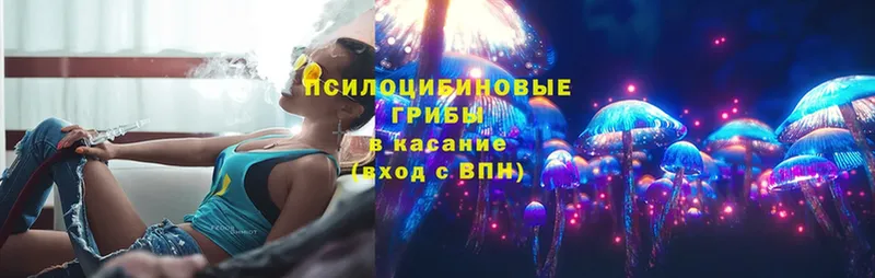 Галлюциногенные грибы Magic Shrooms  kraken зеркало  Кушва  сколько стоит 