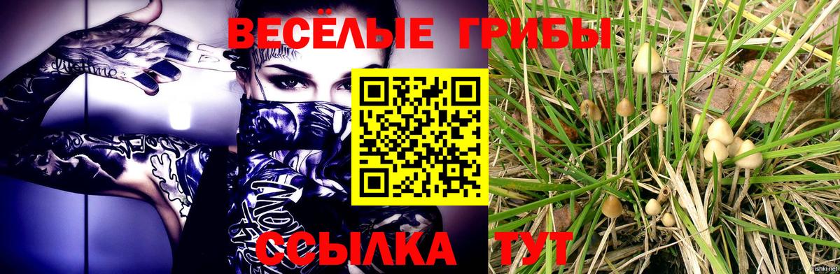 Псилоцибиновые грибы ЛСД  Псилоцибиновые грибы ЛСД  Кушва 