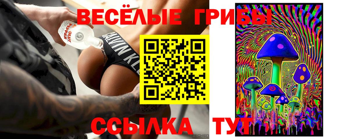 Псилоцибиновые грибы GOLDEN TEACHER Кушва