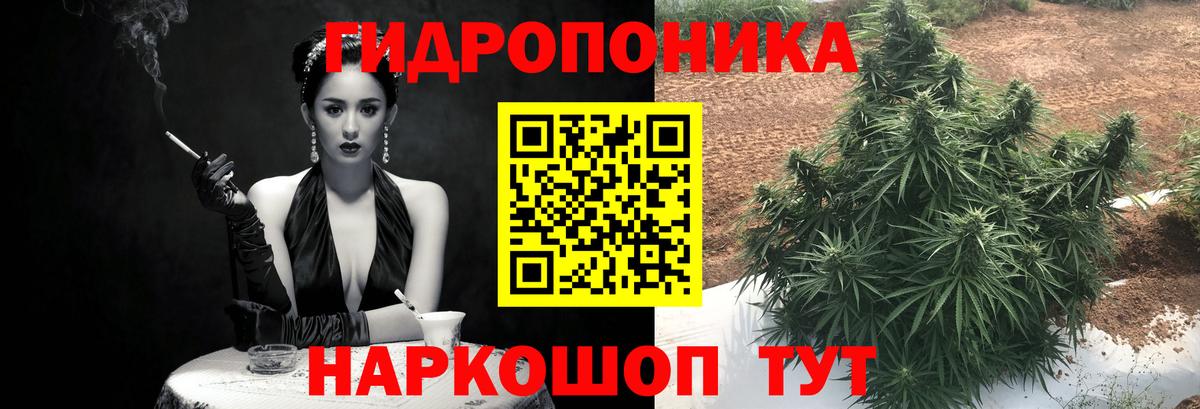 Каннабис тримм  Кушва  Шишки марихуана Amnesia  Марихуана Amnesia  Конопля Bruce Banner 