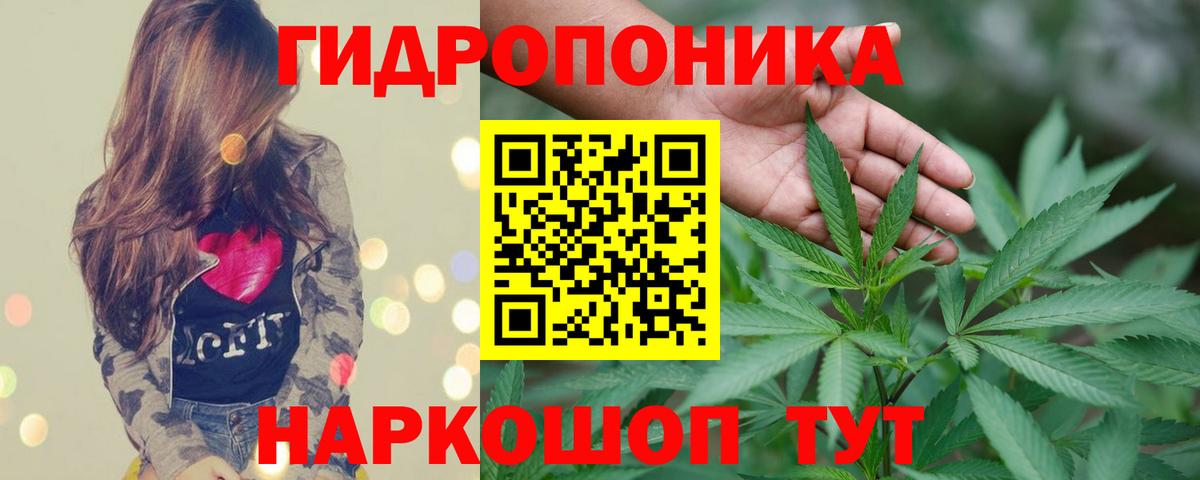 Кушва  Канабис гибрид  Вход с VPN  Бошки марихуана SATIVA & INDICA 
